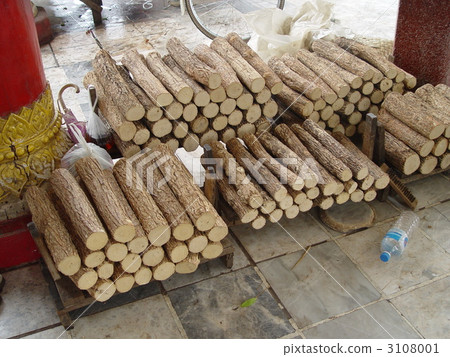 田中樹(曼德勒/緬甸) 田中樹(曼德勒/緬甸) 3108001