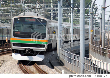 E231 series train Shonan Shinjuku line E231 series train Shonan Shinjuku line 3108174