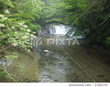 Senjganagahara·Kotakiri 3108250