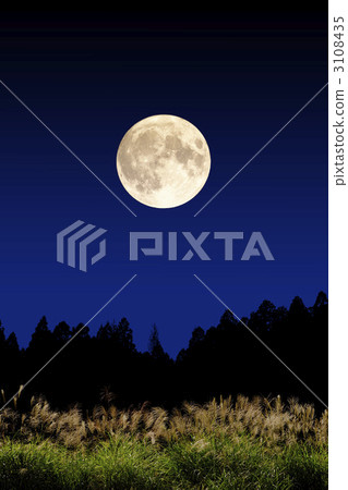 滿月和Susuki 滿月和Susuki 3108435