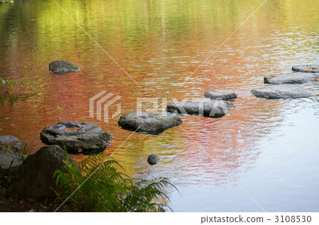 反光的秋葉 3108530