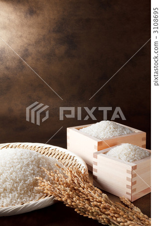 Rice collection + ear rice 3108695