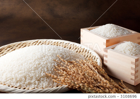 水稻收集+穗飯 水稻收集+穗飯 3108696