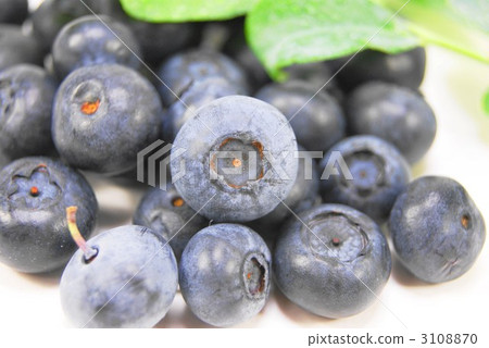 Blueberry ripe fruit up sideways position Blueberry ripe fruit up sideways position 3108870