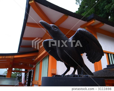 姚宇 姚宇 3111698