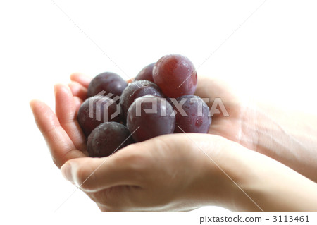 Pione from Okayama Pione from Okayama 3113461