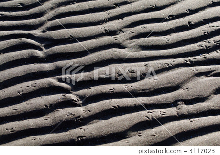 波浪紋 花紋 樣式 3117023