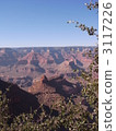 Grand Canyon  3117226