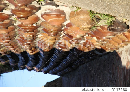 Dusky slope wall Dusky slope wall 3117580