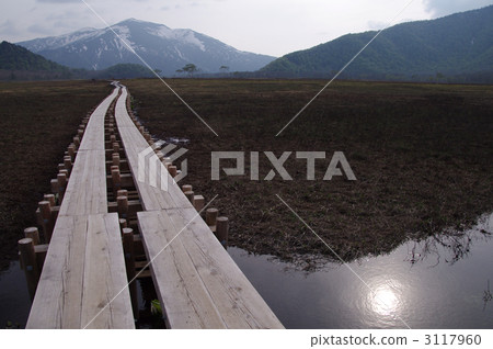 湖泊 反射眩光 木板地 3117960