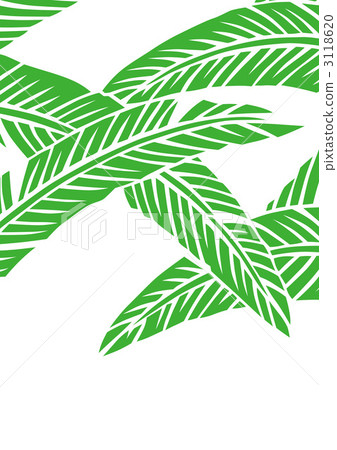 fiber banana leaves, foliage, leaf 3118620