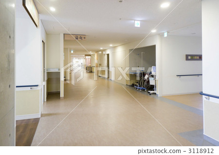 走廊走廊 3118912