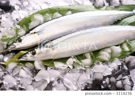 秋天的香魚 3119236