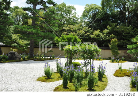 京都Rushu山寺廟夏天風鈴草庭院 3119298