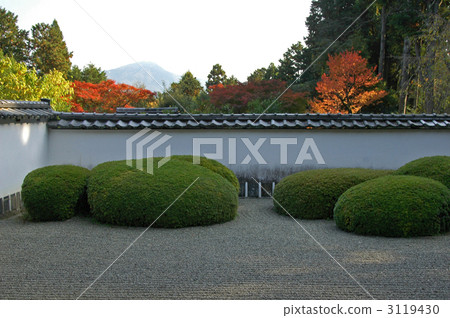 京都Shosoji寺花園 3119430