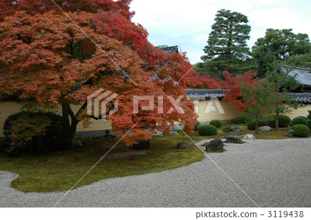 The autumnal gardens of Kyoto etc. The autumnal gardens of Kyoto etc. 3119438