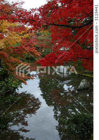 Kyoto Yokofoin pond and autumn leaves Kyoto Yokofoin pond and autumn leaves 3119441