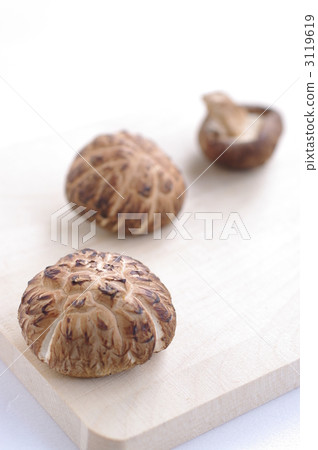 Shiitake mushroom 3119619