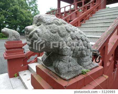 Korean guardian dog Korean guardian dog 3120993