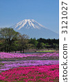 芝櫻 櫻花 富士山 3121027
