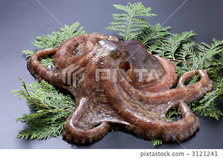 章魚 章魚 3121241