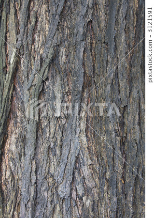 Katsura Katsura 3121591