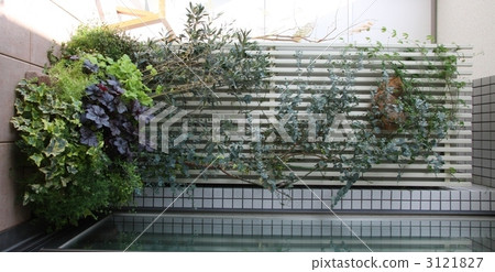 遮蔭花園 3121827