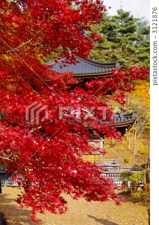 Fukuizumi（福山寺）秋葉（風景） 3121876