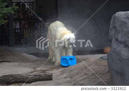 野蠻的北極熊 3121912