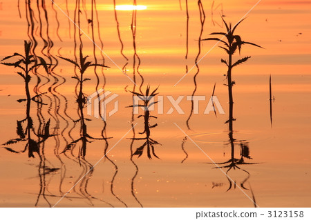 Lake of Lake Biwa Lake of Lake Biwa 3123158