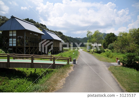 Dragonfly nature park 3123537