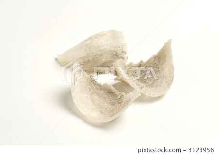 Chinese cuisine ingredient, bird's nest Chinese cuisine ingredient, bird's nest 3123956