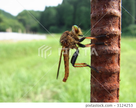 Aoméab Aoméab 3124253