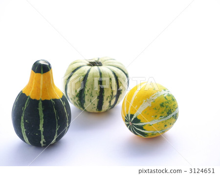 Pepo-pumpkin Pepo-pumpkin 3124651