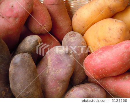 彩色土豆 3125568
