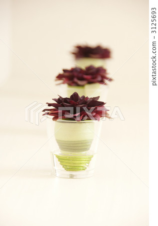 室內空間 3125693