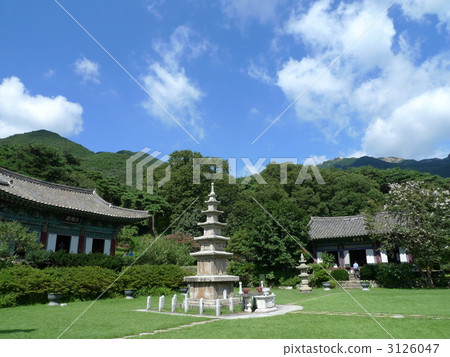 韓國玉龍山Shimoyoji 韓國玉龍山Shimoyoji 3126047