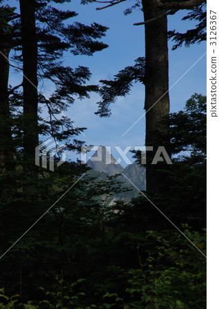 來自森林的Yamagatake 3126367