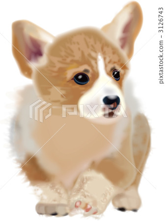 Corgi Corgi 3126743