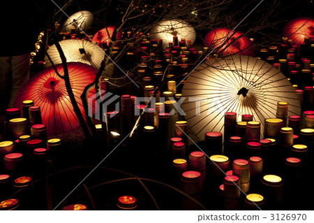 Yamaka Lantern Roman / Hyakka Hyakusai Festival 3126970