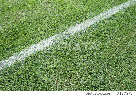 White Line, lawn, sward 3127873