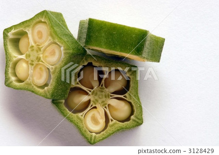 Okra 3128429