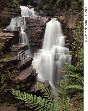 Overland track 'D'Alton falls' 3128966