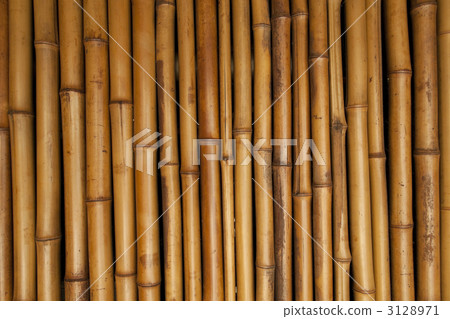 bamboo, background material, joint 3128971