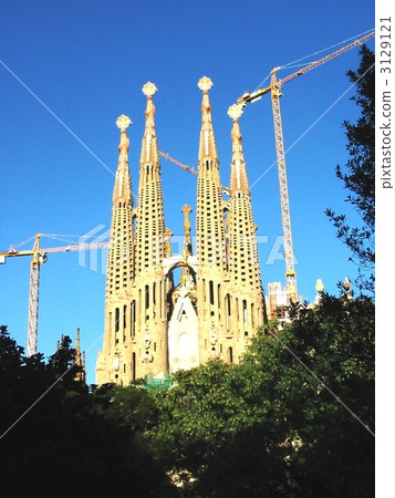 Sakurada Familia 3129121