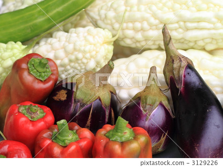 Vegetables harvested at home garden 3129226