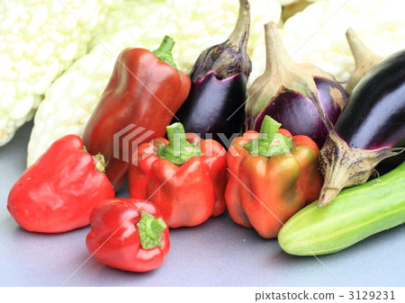 在家庭菜園收穫的菜 3129231