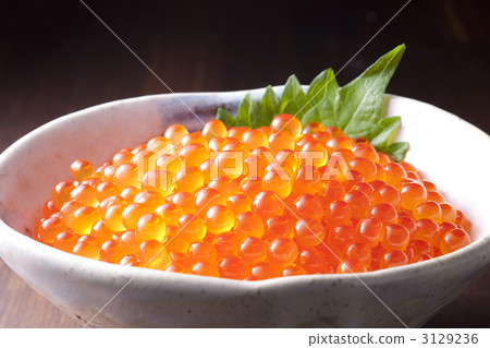  鮭魚子 3129236