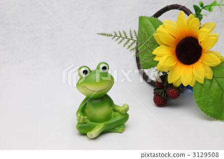 青蛙的對象 3129508