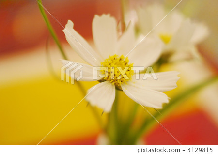 宇宙 宇宙 3129815